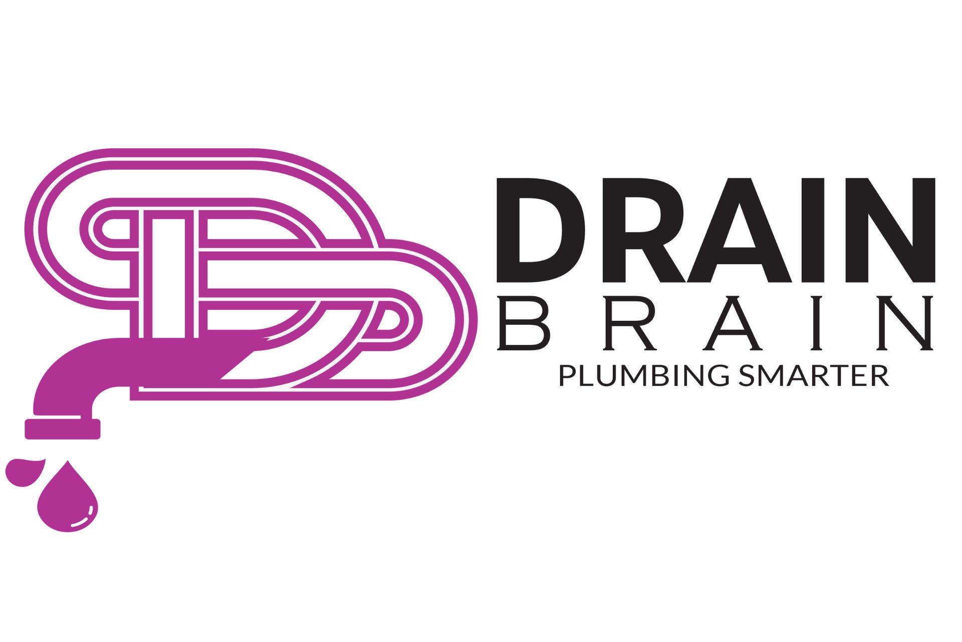 Drain Brain Logo drain brain winnipeg logo